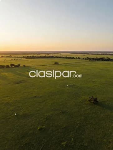87 hectáreas | Nueva Asunción – Chaco'i, foto 2