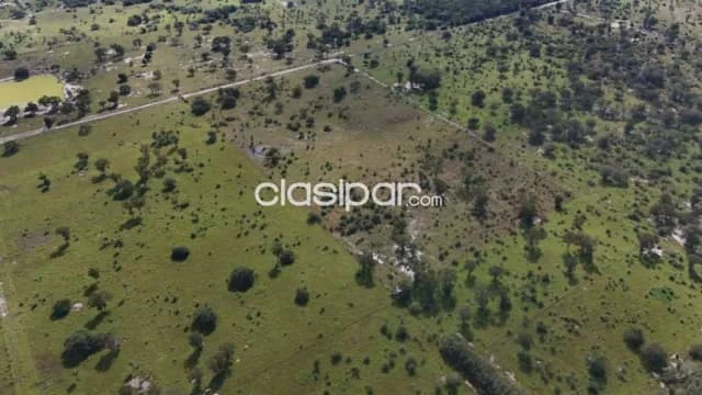 87 hectáreas | Nueva Asunción – Chaco'i, foto 3