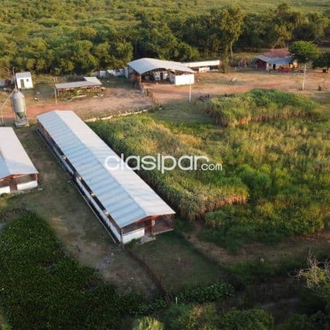 Granja agro ganadera productiva en isla valle, areguá