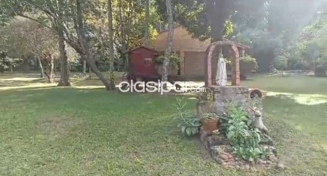 🌳 Hermosa Propiedad de 4 Hectáreas en Eusebio Ayala ( Barrero Grande) — foto 1