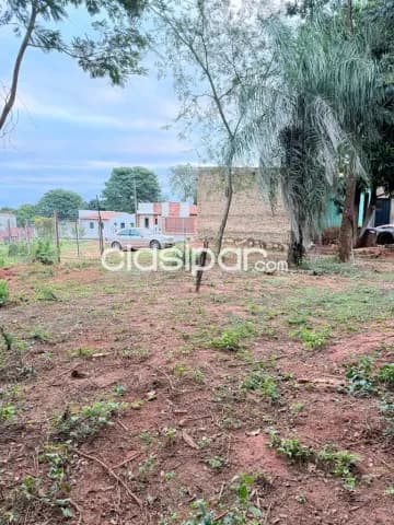 Terreno en limpio, foto 3