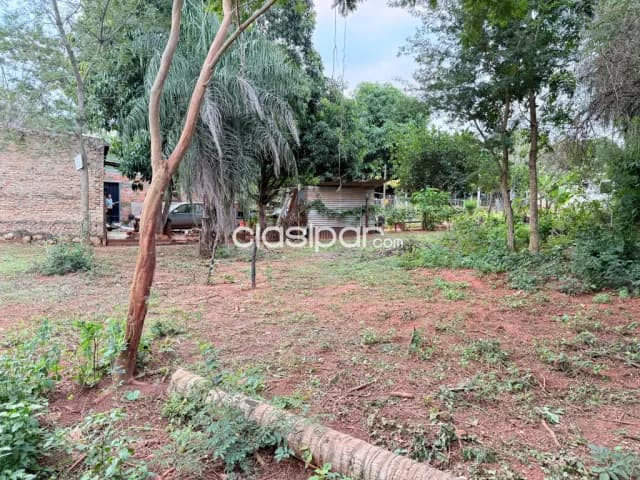 Terreno en limpio, foto 4