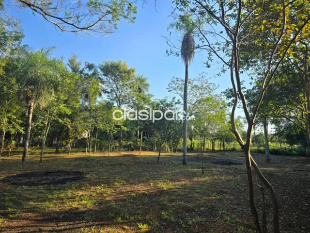 Terreno en caacupé, foto 5