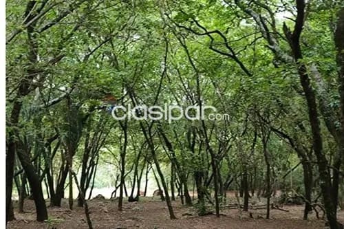 Terreno en Venta en Central Ypacaraí PATIÑO YPACARAI PATIÑO YPACARAI, foto 4