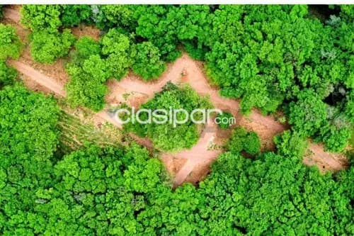 Terreno en Venta en Central Ypacaraí, foto 4