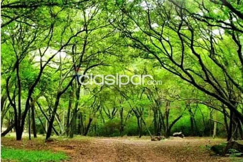 Terreno en Venta en Central Ypacaraí, foto 5