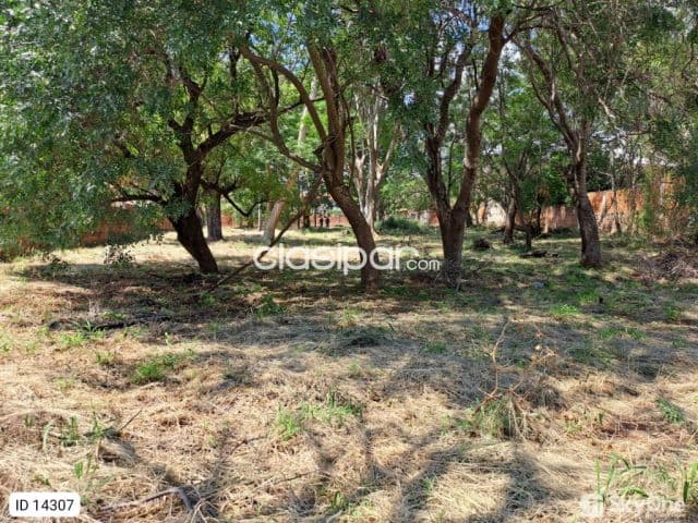 Terreno de 3.902 m² en Villa Elisa | Ideal para Desarrollo | USD 295.000