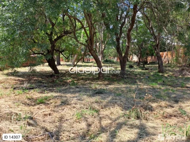 Terreno de 3.902 m² en Villa Elisa | Ideal para Desarrollo | USD 295.000, foto 2