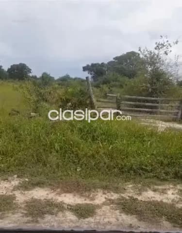 Campo de 1.000 Hectreas, Zona de Fuerte Olimpo, foto 4