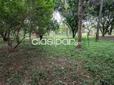 terreno en Altos sobre ruta San Bernardino - Altos - Lote №.4, foto 3