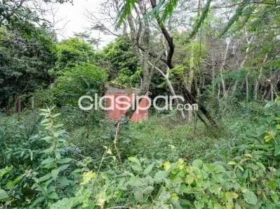 terreno en Altos sobre ruta San Bernardino - Altos - Lote №.4, foto 4