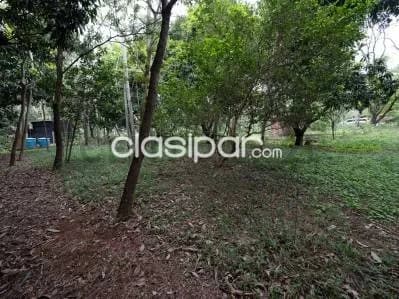 terreno en Altos sobre ruta San Bernardino - Altos - Lote №.4, foto 5