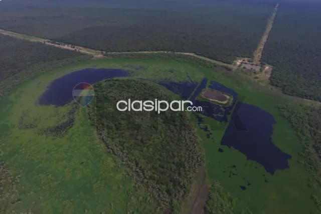 Exclusiva oportunidad de inversión en el chaco paraguayo! Campo virgen con alto potencial, foto 3