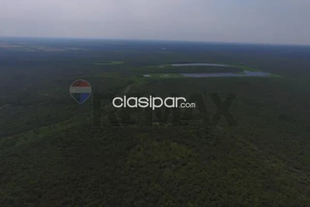 Exclusiva oportunidad de inversión en el chaco paraguayo! Campo virgen con alto potencial, foto 5