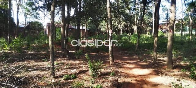 Terreno de 3220 m2 en Ñemby zona La Lomita a solo 2 cuadras de Manuel Ortiz Guerrero, foto 1