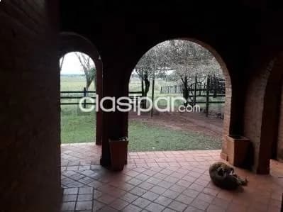 Campo Productivo de 80 Has. en San Pedro del Paraná – Agricultura y Ganadería, foto 2