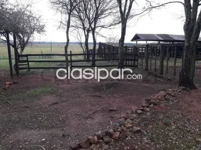 Campo Productivo de 80 Has. en San Pedro del Paraná – Agricultura y Ganadería, foto 3