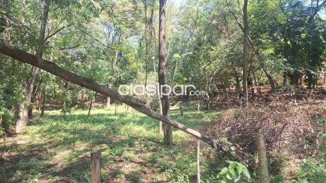 🌿✨ ¡Vendo hermoso terreno en San Bernardino, zona La Suiza! ✨🌿, foto 2