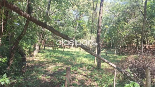🌿✨ ¡Vendo hermoso terreno en San Bernardino, zona La Suiza! ✨🌿, foto 4