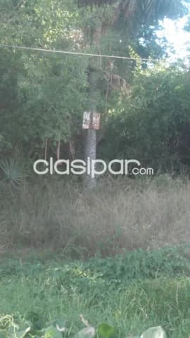 Oportunidad Única en Limpio, foto 4
