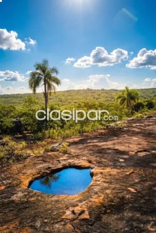 14 hectáreas sobre el Arroyo Piribebuy – Eusebio Ayala, foto 2