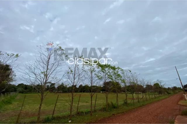 1 hectarea en km 10 acaray Ciudad del Este, foto 3