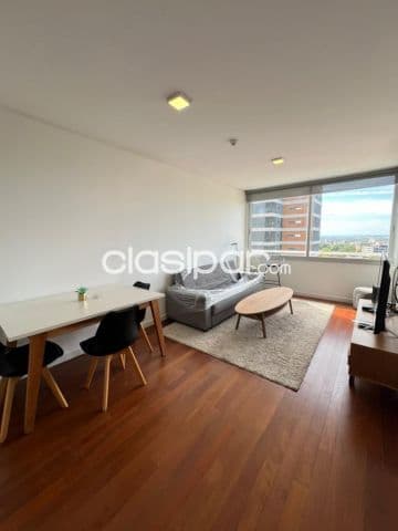 Departamento amoblado de 1 dormitorio zona santa teresa