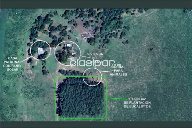 Estancia en arroyos y esteros 288 hectareas, foto 4