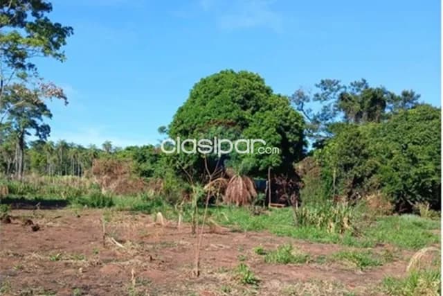 Terreno Vendo 1958 M2 en Tomás Romero Pereira, foto 2