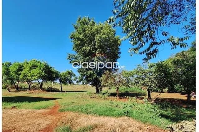 Terreno Vendo 1958 M2 en Tomás Romero Pereira, foto 3