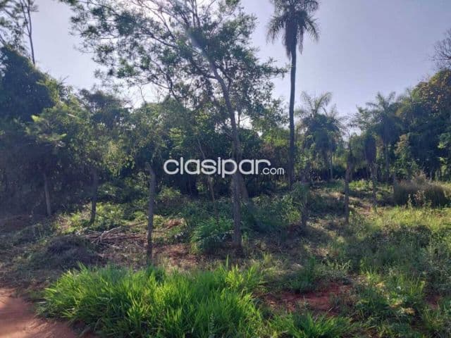 2 terrenos juntos en aregua pindolo, foto 1