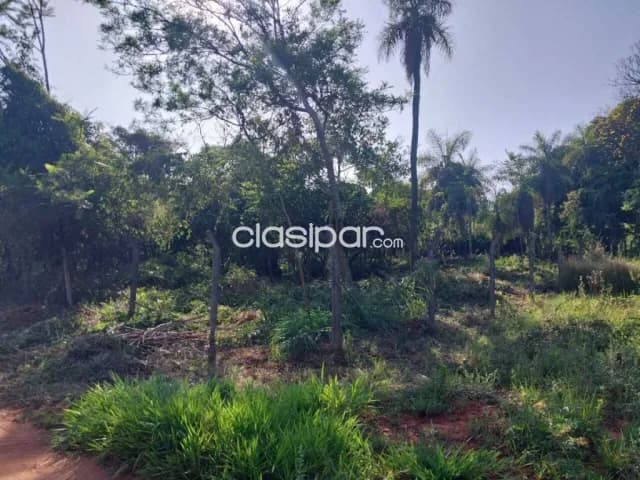 2 terrenos juntos en aregua pindolo, foto 2