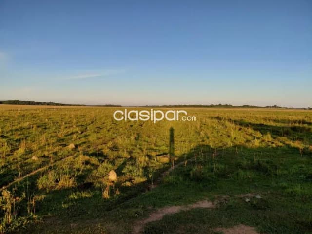 Campo 46.5 Has en Nueva Londres Caaguazu - Estancia Ganadera con Tajamares, foto 5