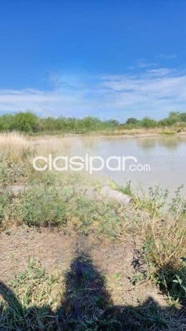 326 Has en Gral Bruguez Villa Hayes - Campo Ganadero Bajo Chaco Ruta 12, foto 1