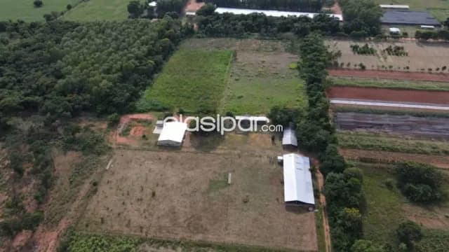 Granja Productiva 8 Has en Nueva Italia Central - Casa 300m2 y Establo Lechero, foto 2