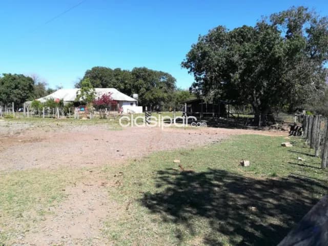 Estancia 475 Has en Caapucu Paraguari - Campo Ganadero con Aguadas Naturales, foto 5