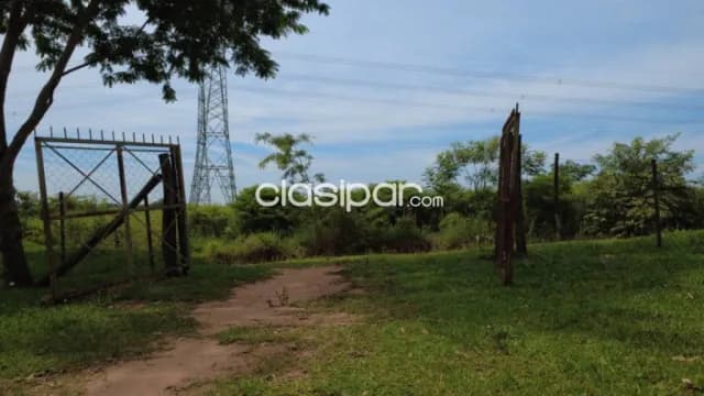 Granja 20 Has en Cecilio Baez Caaguazu - Campo con Agua Naciente y Frutales, foto 5