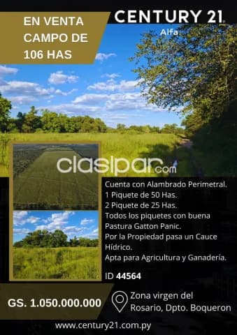 Campo 105 Has en Neuland Boqueron - Chaco Agricola Ganadero con Pasturas, foto 3