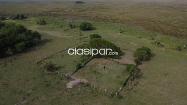 Campo 1215 Has en Tacuaras Pilar Neembucu - Ganaderia y Cria de Bufalos, foto 3