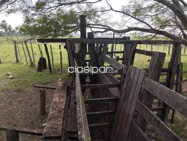 Campo 1215 Has en Tacuaras Pilar Neembucu - Ganaderia y Cria de Bufalos, foto 5