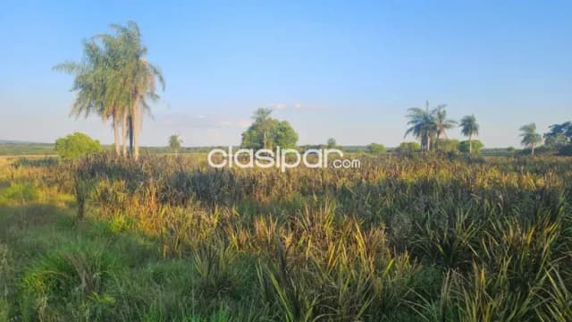 Estancia 30has Rancho Hebron en Ybycui Paraguari - Con casa, ganado y agua, foto 5