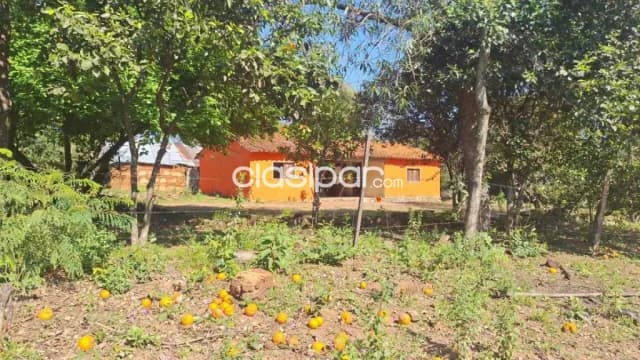 Campo 8has en Nueva Colombia Cordillera - Sobre empedrado, con bosque y servicios, foto 4