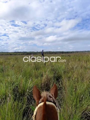 Campo 13has en Acahay Paraguari - Sobre Ruta 18, con tajamares y vista al cerro, foto 2