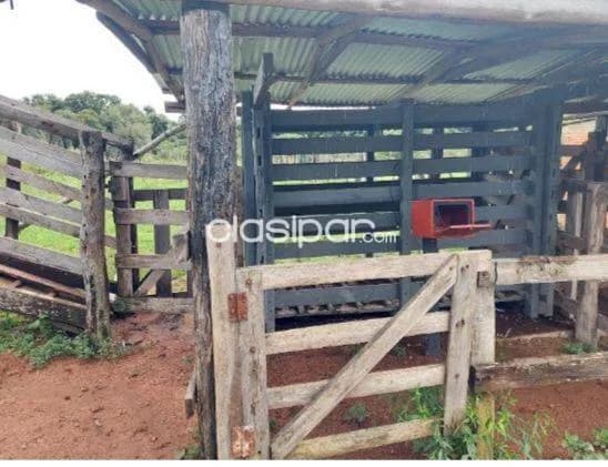 Estancia ganadera 558has en Caapucu Paraguari - Lista para explotar, con mejoras, foto 3
