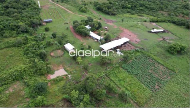 Estancia ganadera 558has en Caapucu Paraguari - Lista para explotar, con mejoras, foto 4