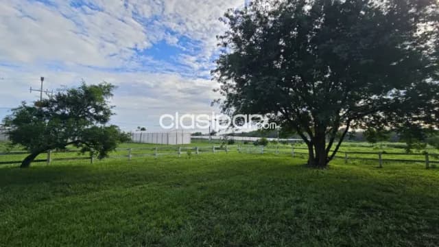 Estancia 53has en Itacurubi de la Cordillera - Agricola-ganadera con riego y casas, foto 2