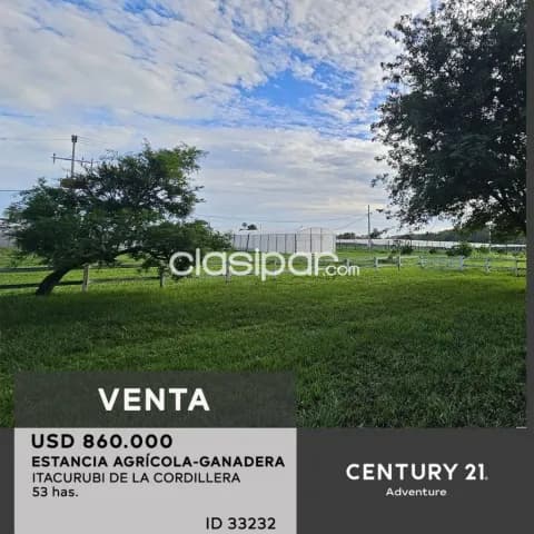 Estancia 53has en Itacurubi de la Cordillera - Agricola-ganadera con riego y casas, foto 3
