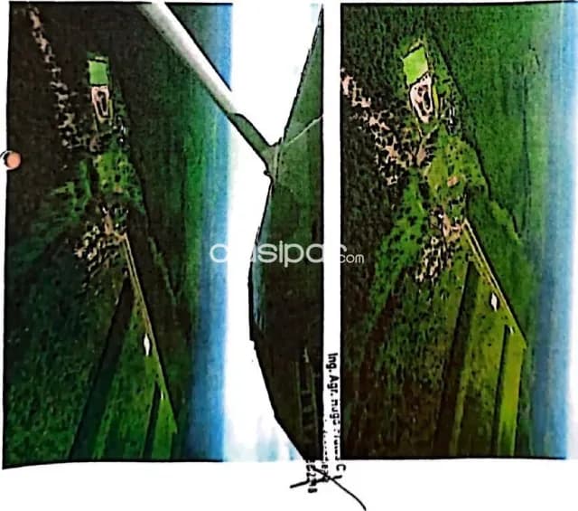 Campo 3.098has en Toro Pampa Fuerte Olimpo - Apto para cria de ganado, foto 3