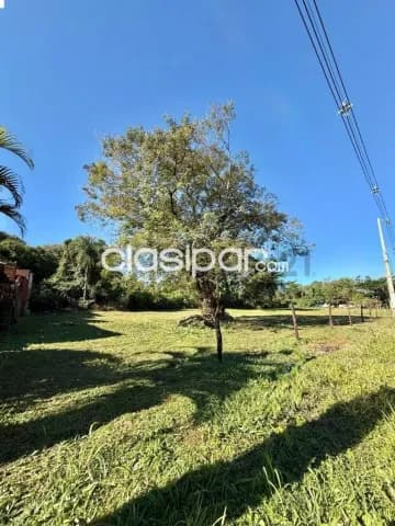 ¡oportunidad de inversión en limpio!, foto 3