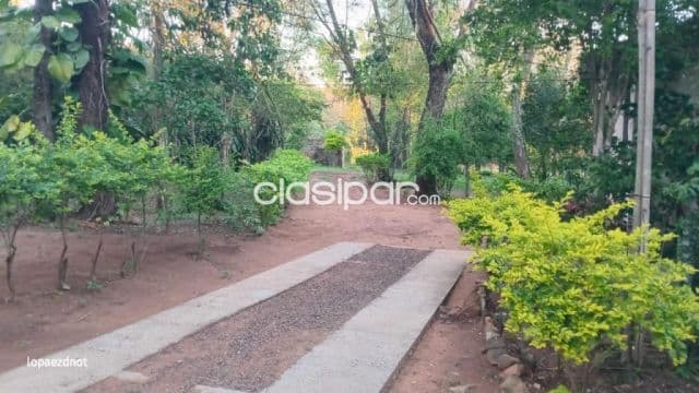 o alquilo casa, foto 1